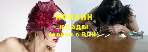 ГАЛЛЮЦИНОГЕННЫЕ ГРИБЫ Балахна