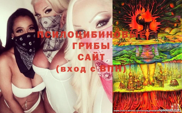 шишки Беломорск