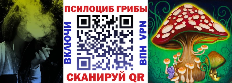Галлюциногенные грибы Cubensis  Берёзовский 